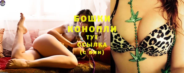 амф Губаха